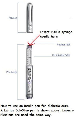 Buy lantus insulin online canada